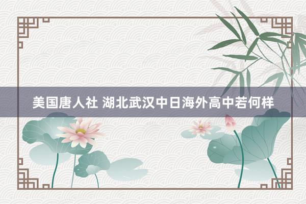 美国唐人社 湖北武汉中日海外高中若何样
