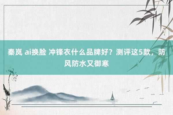 秦岚 ai换脸 冲锋衣什么品牌好？测评这5款，防风防水又御寒