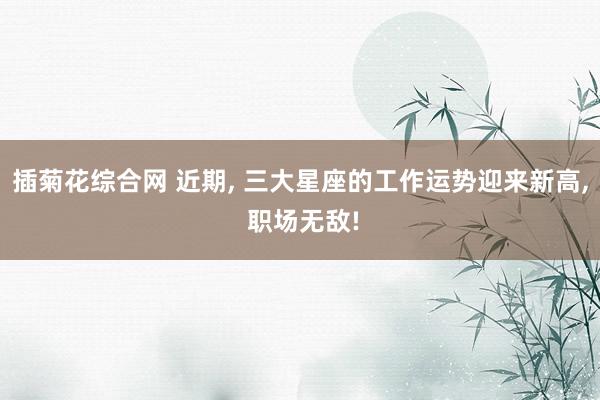 插菊花综合网 近期， 三大星座的工作运势迎来新高， 职场无敌!