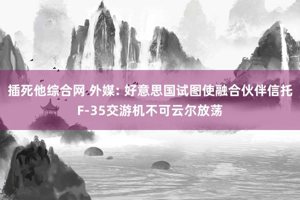 插死他综合网 外媒: 好意思国试图使融合伙伴信托F-35交游机不可云尔放荡