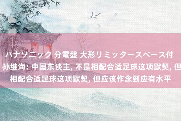 パナソニック 分電盤 大形リミッタースペース付 露出・半埋込両用形 孙继海: 中国东谈主， 不是相配合适足球这项默契， 但应该作念到应有水平
