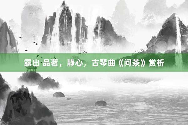 露出 品茗，静心，古琴曲《问茶》赏析