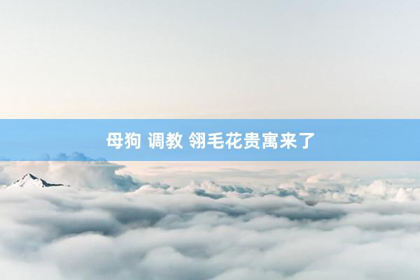 母狗 调教 翎毛花贵寓来了